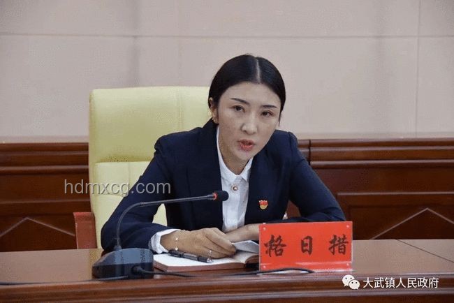 国家铁路局局长费东斌被查事件深度剖析